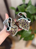 Camo 1 Piggies